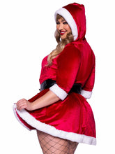 Mrs Claus Plus Size Costume